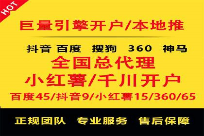 专业竞价SEM托管成功案例解析